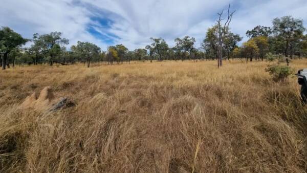 Major cattle station for 3000 cows and renewable energy project potential