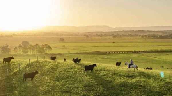 Fertile, picturesque country headed to auction as three separate farmlets