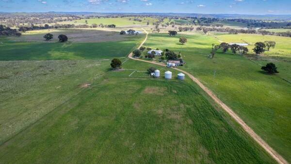 Altondale delivers highly productive sheep, cattle opportunity | Video