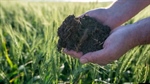 Outstanding heavy black soil Liverpool Plains farming opportunity | Video