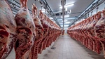 Lucrative beef export market set to reopen; rendered product to Indonesia