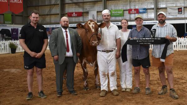 Retirement on hold for aged 2025 International Dairy Week Illawarra champ