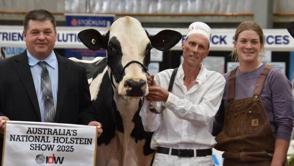 Emotional IDW grand champion Holstein win for family after a torrid year