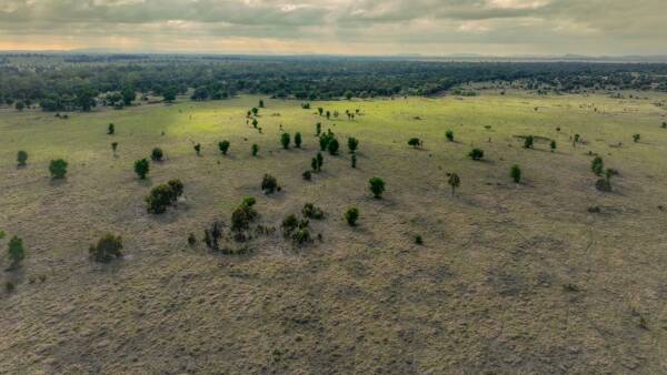 Glen Idylle delivers highly productive Central Qld brigalow country | Video