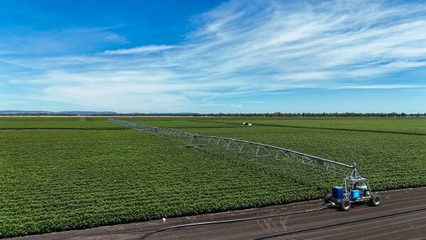 Liverpool Plains farming excellence with 827 acres of lateral irrigation