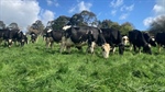 Potential to extend Victorian 'smart farm' virtual fencing demonstration