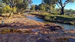 Another iconic SA outback sheep station about to hit sales market