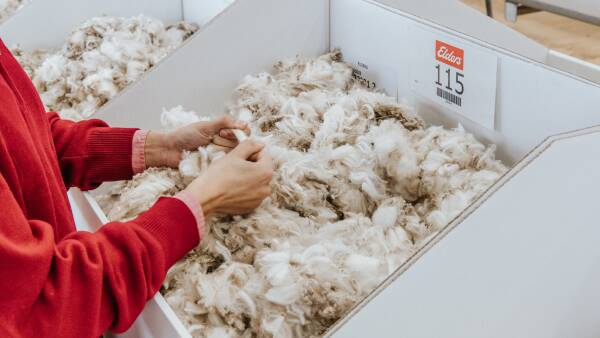 'Gamechanger': eBales the next frontier in wool handling automation