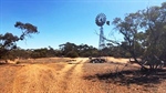 Low rainfall farm sale in the Murray-Mallee is a cheap option for starters