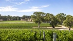 Another large SA vineyard joins the sales rush