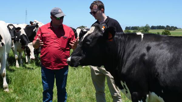 Fonterra farmers offered a new environmental, production monitoring tool