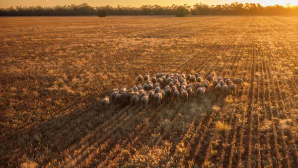 Farming, grazing operation with additional cultivation potential | Video