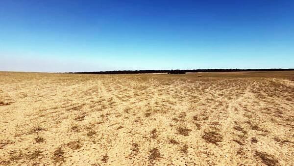 Large Murray-Mallee farm sells for no nonsense price of $1 million