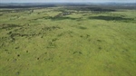 Productive cattle operation suited to breeding, fattening, backgrounding