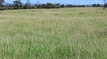 Well-positioned Budgawillie with abundant pasture and top-tier improvements