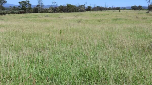 Well-positioned Budgawillie with abundant pasture and top-tier improvements