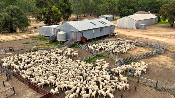 Prized Goulburn Valley farmland hits the sales market across eight properties