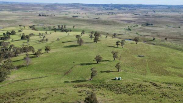 Clovelly: Top quality, highly arable grazing country to auction April 15