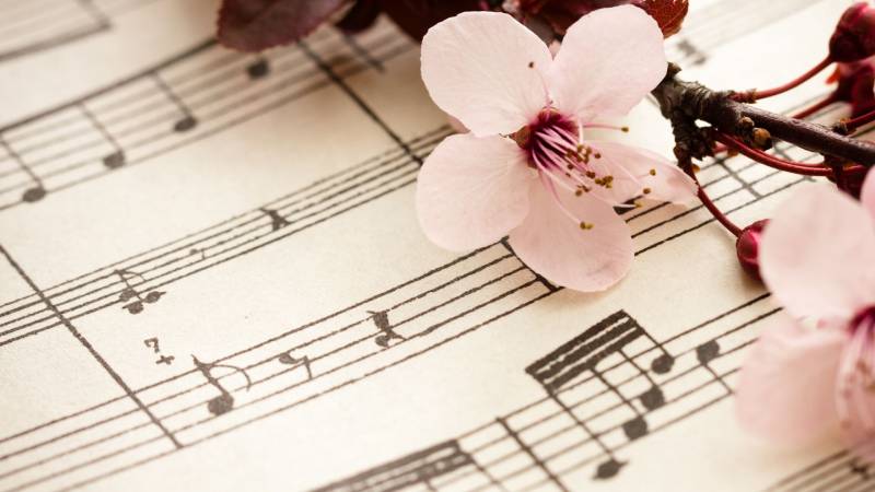Close-up of a music sheet with notes and cherry blossom petals, symbolizing songs for a personal memorial playlist.